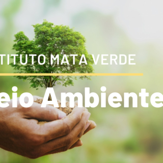 Meio Ambiente
