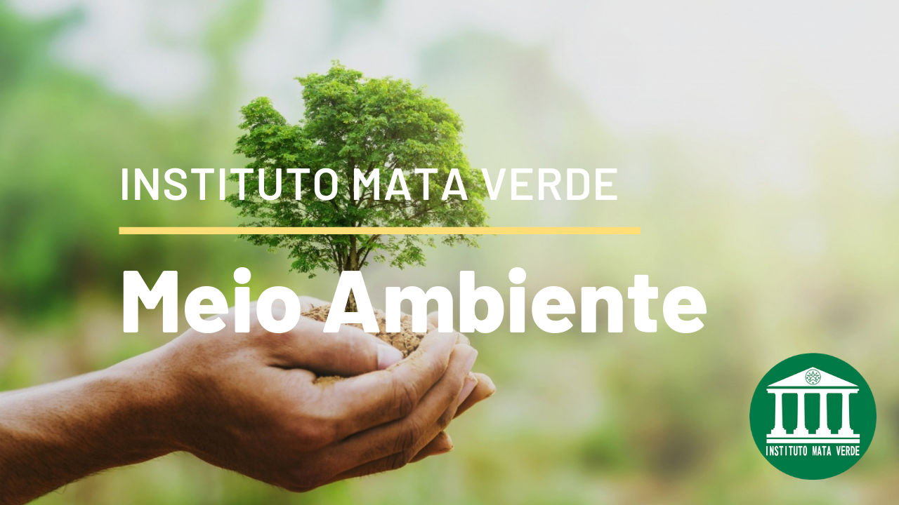 Meio Ambiente