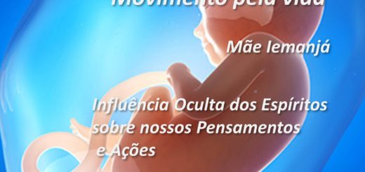 Revista 29