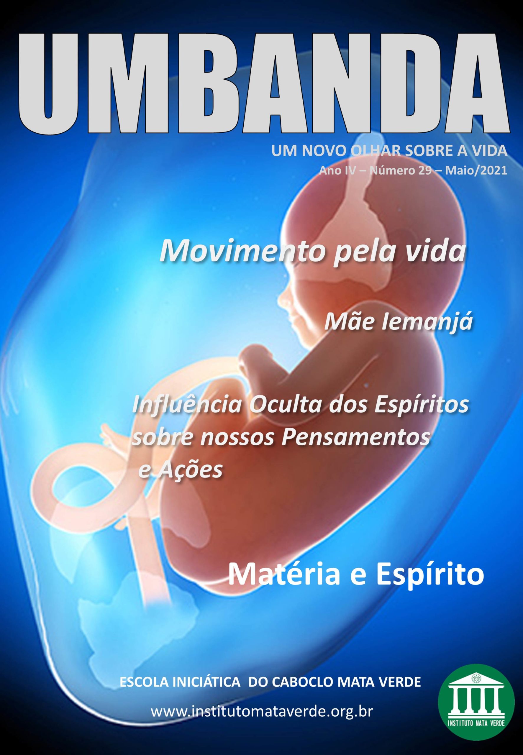 Revista 29